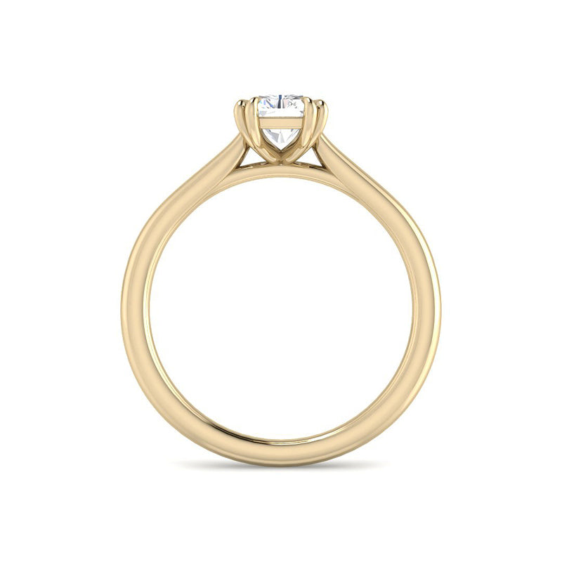 Emerald Cut Cathedral w. Double Claws (Yellow Gold)